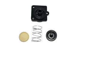 CHECK VALVE ASSY; SHURFLO 10
